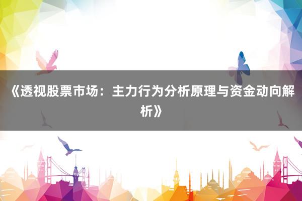 《透视股票市场：主力行为分析原理与资金动向解析》
