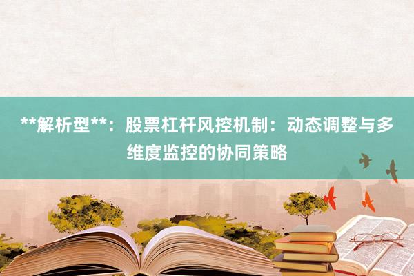 **解析型**：股票杠杆风控机制：动态调整与多维度监控的协同策略