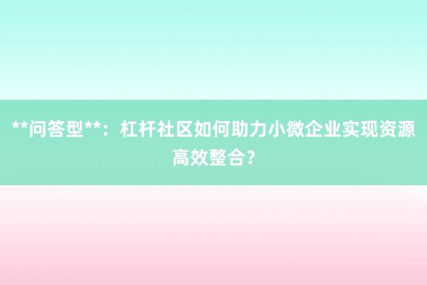 **问答型**：杠杆社区如何助力小微企业实现资源高效整合？