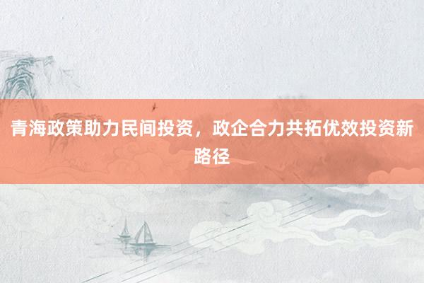 青海政策助力民间投资，政企合力共拓优效投资新路径