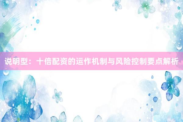 说明型：十倍配资的运作机制与风险控制要点解析